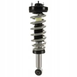 kolumna-mcpersona-przednia-ford-f-150-2009-2013-rwd