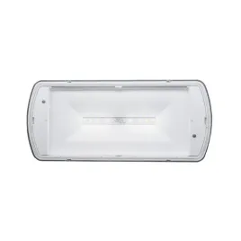 eaton-sl2mnm42e1c3a-sl2mnm42e1c3a-oprawa-awaryjna-safelitemnmip42150lm1