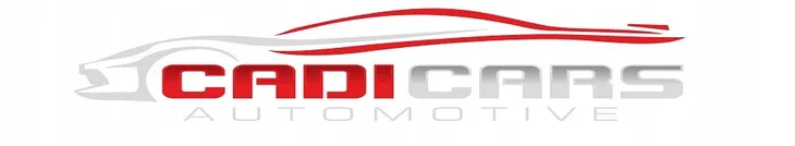 kolumny-mcpersona-dodge-caliber-2007-2012-typ-samochodu-samochody-osobowe
