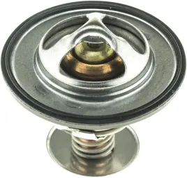 termostat-lincoln-town-car-1991-2002-4-6l