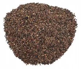 nasiona-gryka-1000g-roslina-miododajna-jednoroczna