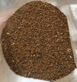 facelia-blekitna-1kg-miododajna-i-gatunek