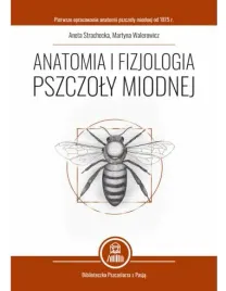anatomia-i-fizjologia-pszczoly-miodnej