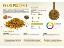 tablica-duza-xxl-edukacyjna-pylek-pszczeli-f351