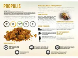 tablica-duza-xxl-edukacyjna-propolis-f352