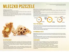 tablica-duza-xl-edukacyjna-mleczpo-pszczele-f253
