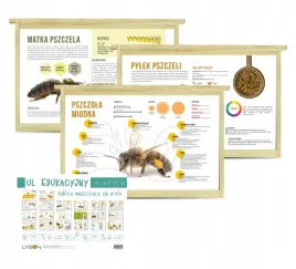 tablice-informacyjne-do-ula-edukacyjnego-10-szt