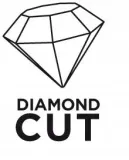 wiertlo-diamentowe-do-gresu-53-mm-seria-top-57h294