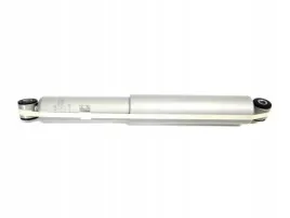 amortyzator-tyl-ford-f150-04-07