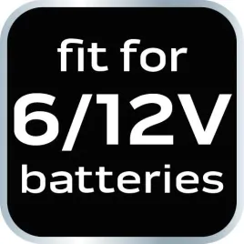 prostownik-automatyczny-6a-100w-3-150ah-do-akumulatorow-kwasowych-agm