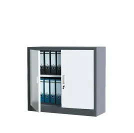 szafa-metalowa-biurowa-na-dokumenty-warsztatowa-do-garazu-zamykana-na-akta