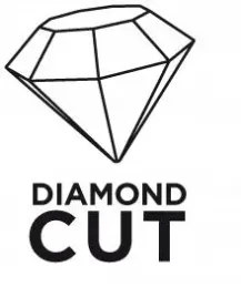 tarcza-diamentowa-180-x-22-2-mm-segmentowa