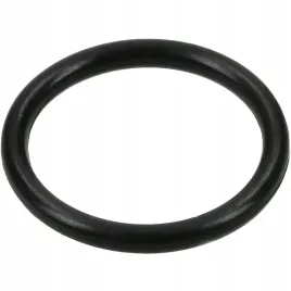 pierscien-uszczelniajacy-100x3-mm-kramp-or1003p001