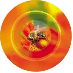 nakretki-wzor-nd-14-na-sloiki-z-miodem-50szt