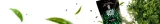 verde-mate-green-despalada-05-kg