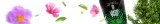 verde-mate-green-silueta-50-g