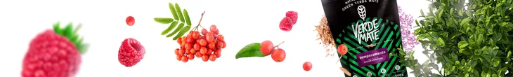 verde-mate-green-temperamento-50-g