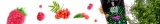 verde-mate-green-temperamento-50-g