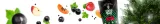 verde-mate-green-dragon-05-kg