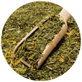 verde-mate-green-summertime-05-kg