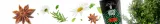 verde-mate-green-deer-50-g