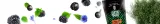 verde-mate-green-melocoton-50-g