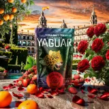 yaguar-sangria-05-kg