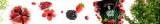 verde-mate-green-grenade-boost-05-kg