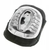 nakolanniki-zelowe-ce-rodzaj-zelowe