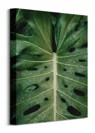 monstera-obraz-na-plotnie-30x40
