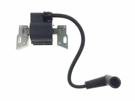 cewka-iskrownik-briggs-798534