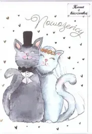 karnet-b6-z-kieszonka-koty