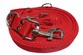smycz-przepinana-regulowana-25mm-3m-mocna-dla-sredniego-psa-rozne-kolory