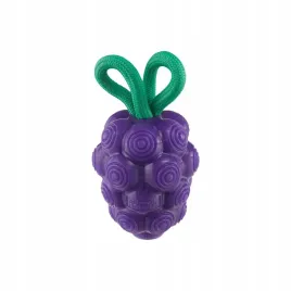zabawka-dentystyczna-na-przysmaki-dla-psa-outward-hound-oh-dental-grapes