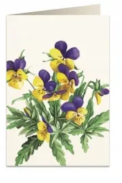 karnet-b6-koperta-8036-bratki