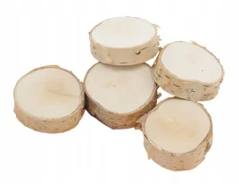 plaster-krazek-4-5-cm-drewno-brzozowy-5-sztuk