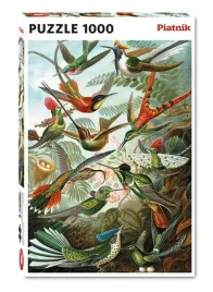 puzzle-1000-haeckel-kolibry-piatnik