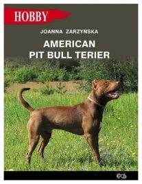 american-pit-bull-terier-zarzynska-joanna