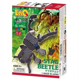 klocki-edukacyjne-stag-beetle