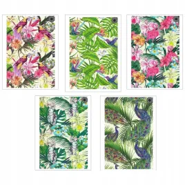brulion-b5-160k-kratka-paradise-5szt