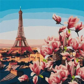 malowanie-po-numerach-magnolie-paryskie-50x50cm