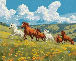 malowanie-po-numerach-sila-i-wdziek-40x50cm