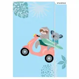 teczka-z-gumka-a4-koala-rodzaj-teczka-z-gumka