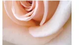 sofin-plyn-do-plukania-sensitive-2500ml-stan-nowy