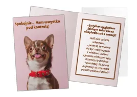 kartka-karnet-z-zyczeniami-psem-chihuahua-b6-ogolny-wzor-maly-urodziny-roz