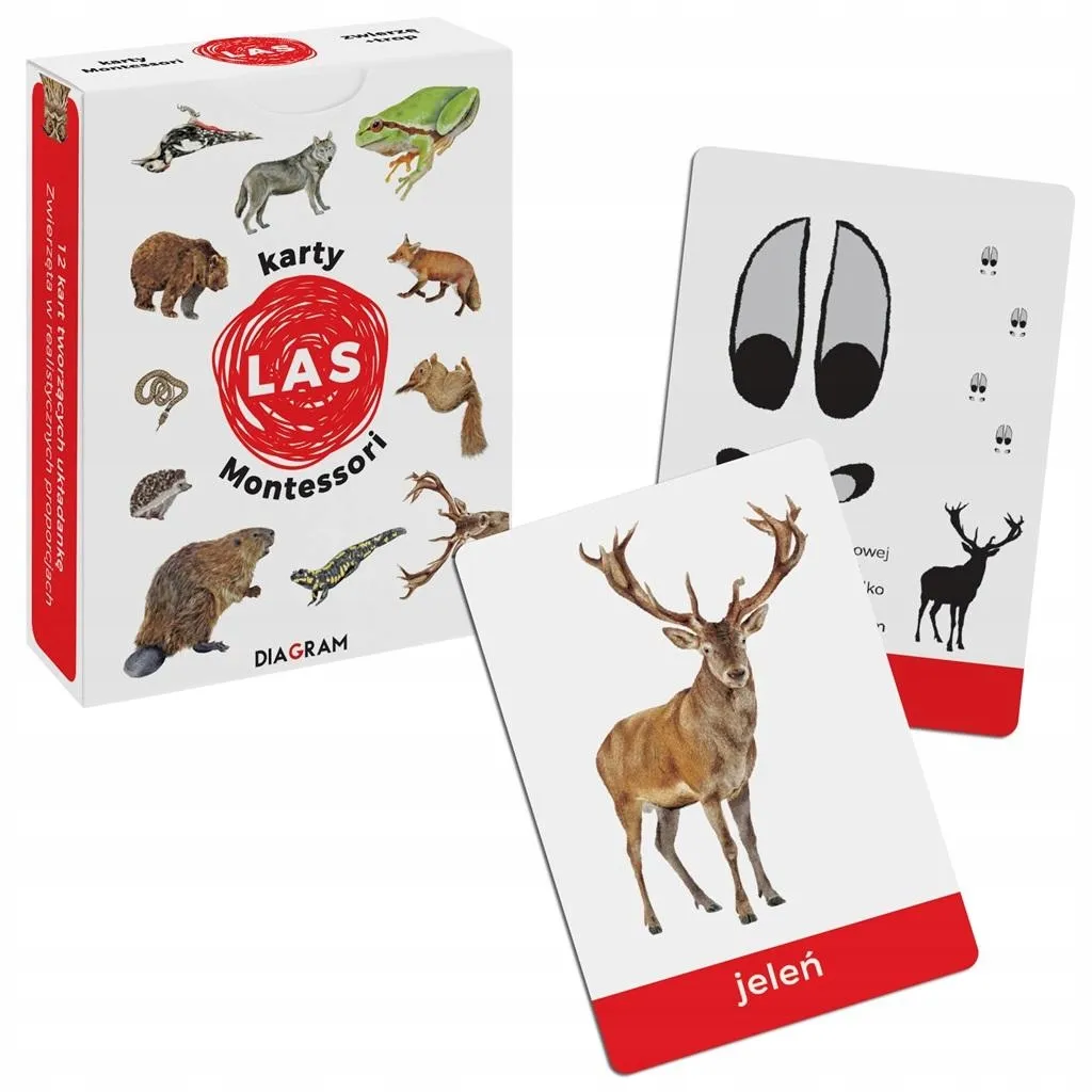karty-montessori-las