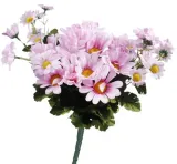 margaretki-bukiet-rozowy