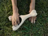 betterbone-beef-large-soft-stan-nowy-rodzaj-gryzaki