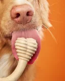 betterbone-beef-mini-soft-marka-betterbone