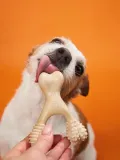 betterbone-beef-small-hard-marka-betterbone